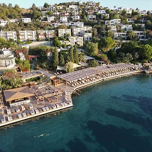 No81 Hotel Golturkbuku